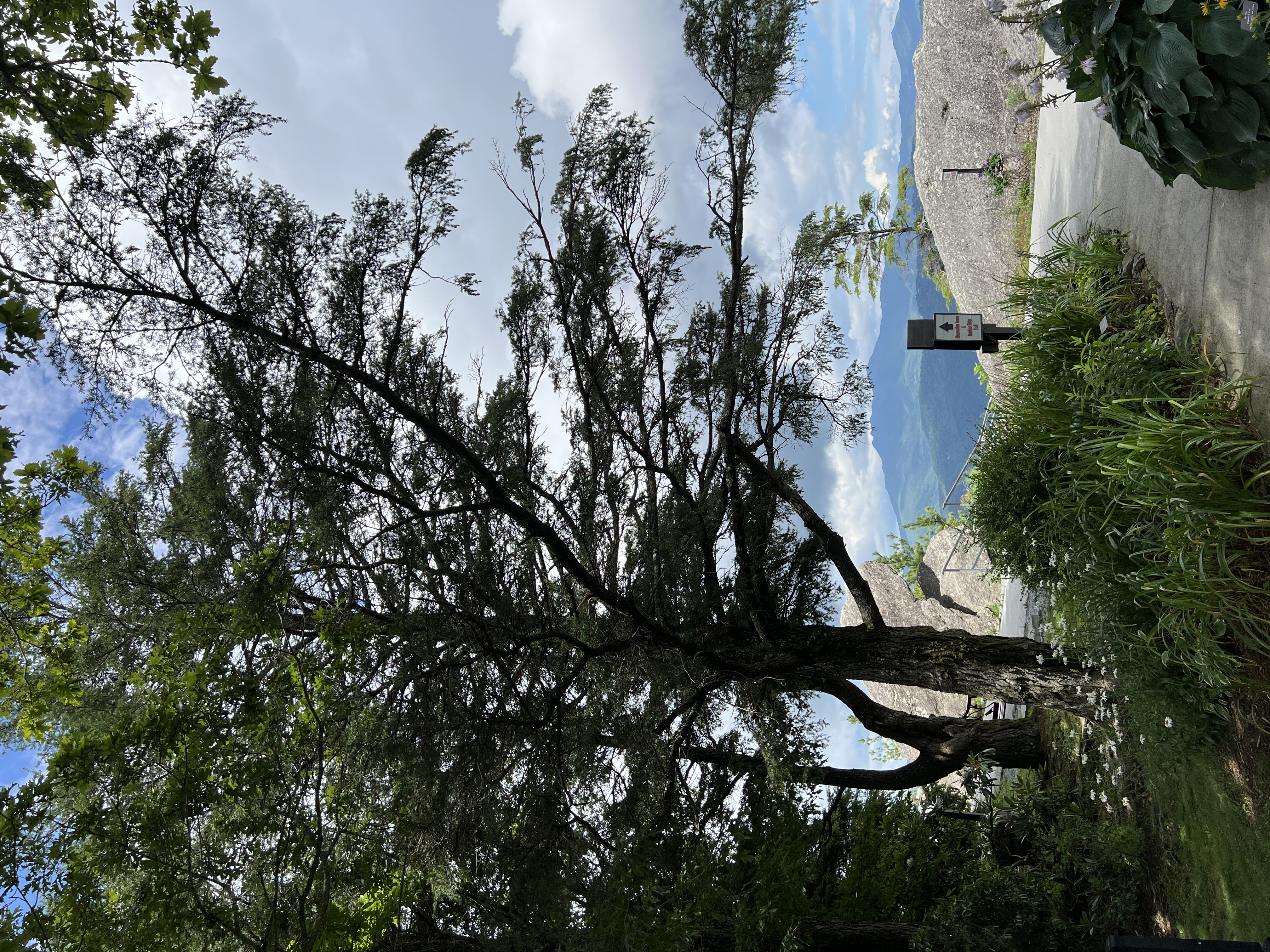 ./2025/09 - Banner Elk/IMG_6416.JPG